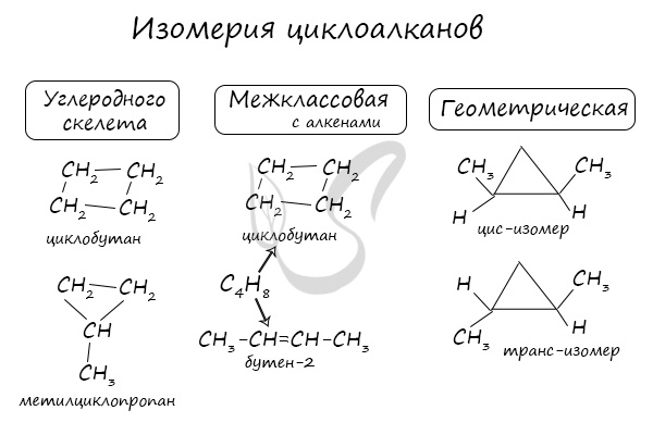 Виды изомерии с примерами Учебник по органической химии_Сборник № 2