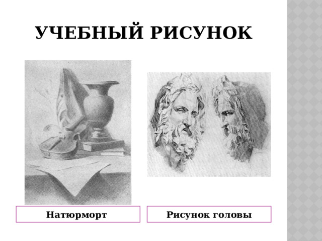 Учебный рисунок Натюрморт Рисунок головы 