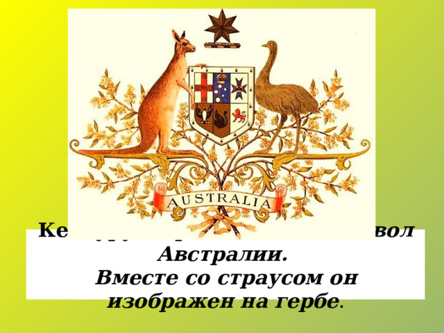 Кенгуру – официальный символ Австралии. Вместе со страусом он изображен на гербе . 