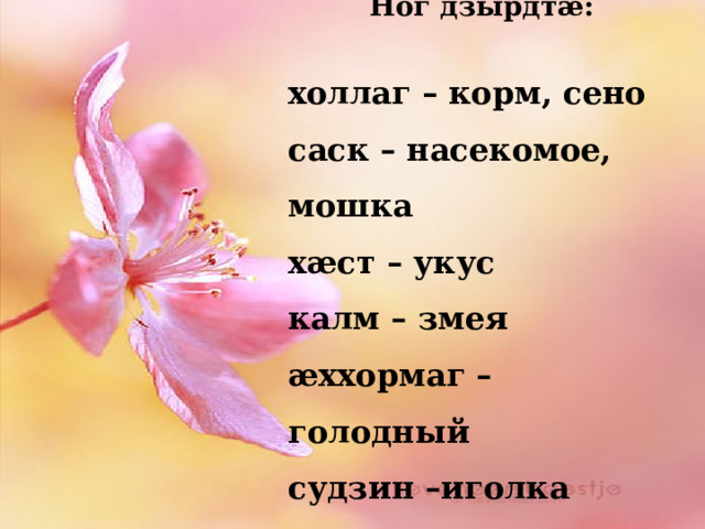 Ног дзырдтӕ:  холлаг – корм, сено саск – насекомое, мошка хӕст – укус калм – змея ӕххормаг – голодный судзин –иголка 