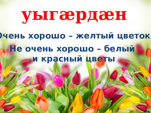 уыгӕрдӕн Очень хорошо – желтый цветок Не очень хорошо – белый и красный цветы 