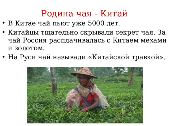 Родина чая - Китай В Китае чай пьют уже 5000 лет. Китайцы тщательно скрывали секрет чая. За чай Россия расплачивалась с Китаем мехами и золотом. На Руси чай называли «Китайской травкой». 