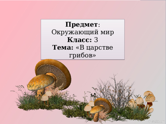 Предмет : Окружающий мир Класс: 3 Тема: «В царстве грибов» 