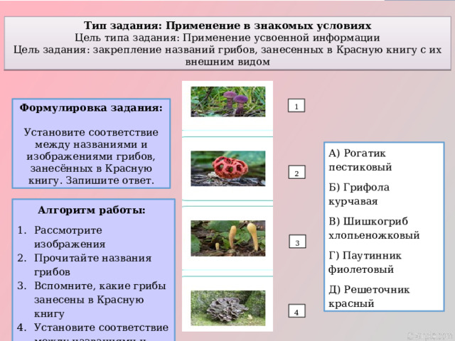 Тип задания: Применение в знакомых условиях Цель типа задания: Применение усвоенной информации Цель задания: закрепление названий грибов, занесенных в Красную книгу с их внешним видом Формулировка задания: 1 Установите соответствие между названиями и изображениями грибов, занесённых в Красную книгу. Запишите ответ. А) Рогатик пестиковый Б) Грифола курчавая В) Шишкогриб хлопьеножковый Г) Паутинник фиолетовый Д) Решеточник красный 2 Алгоритм работы: Рассмотрите изображения Прочитайте названия грибов Вспомните, какие грибы занесены в Красную книгу Установите соответствие между названиями и изображениями 3 4 