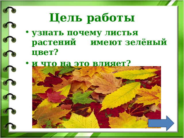 Цель работы узнать почему листья растений имеют зелёный цвет? и что на это влияет? 