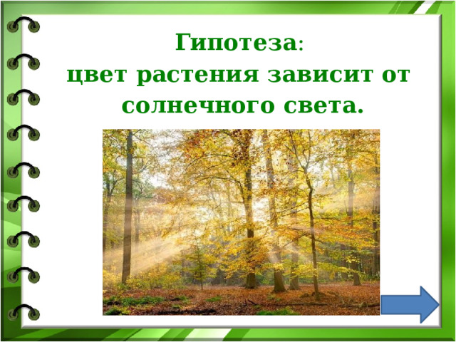 Гипотеза :  цвет растения зависит от  солнечного света. 