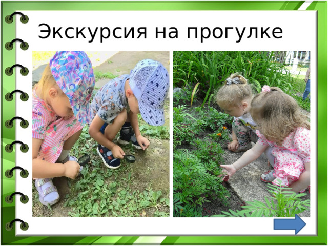 Экскурсия на прогулке 