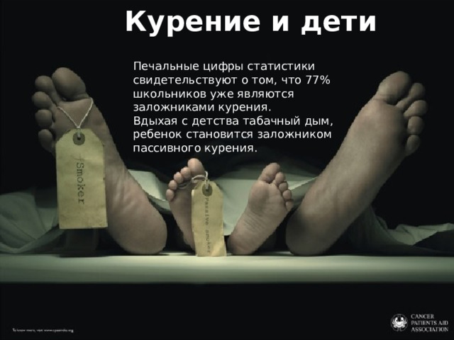 Курение и дети Печальные цифры статистики свидетельствуют о том, что 77% школьников уже являются заложниками курения. Вдыхая с детства табачный дым, ребенок становится заложником пассивного курения. 