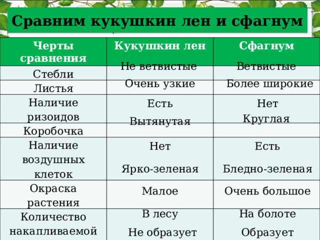 Сравним кукушкин лен и сфагнум Черты сравнения Кукушкин лен Стебли Сфагнум Листья Наличие ризоидов Коробочка Наличие воздушных клеток Окраска растения Количество накапливаемой влаги Где растет Образует ли торф Не ветвистые Ветвистые Очень узкие  Более широкие Есть Нет Круглая Вытянутая Нет Есть Ярко-зеленая Бледно-зеленая Малое Очень большое В лесу На болоте Не образует Образует 