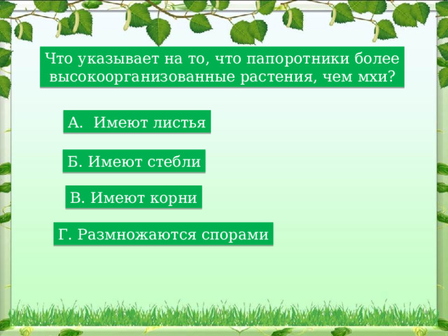 Что указывает на то, что папоротники более  высокоорганизованные растения, чем мхи? А. Имеют листья Б. Имеют стебли В. Имеют корни Г. Размножаются спорами 