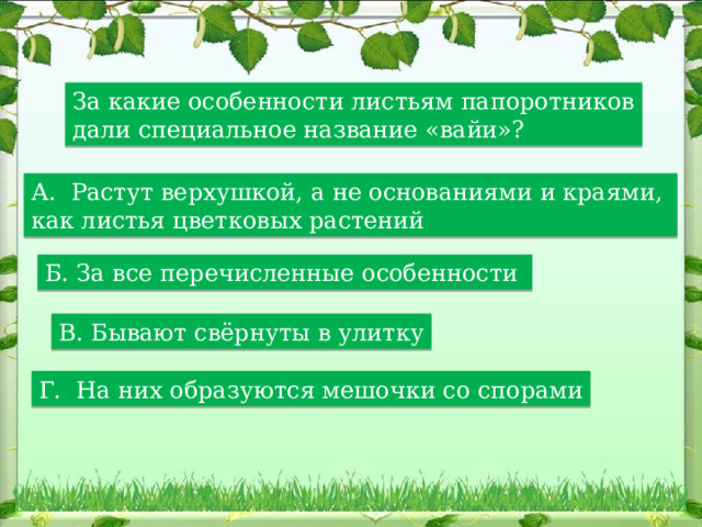 За какие особенности листьям папоротников дали специальное название «вайи»? А. Растут верхушкой, а не основаниями и краями, как листья цветковых растений Б. За все перечисленные особенности В. Бывают свёрнуты в улитку Г. На них образуются мешочки со спорами 