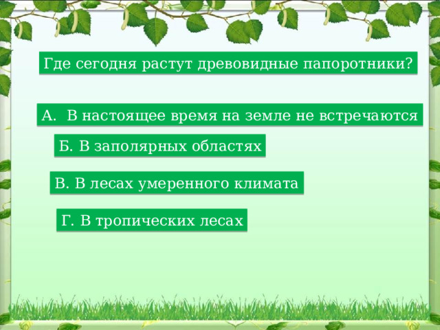 Где сегодня растут древовидные папоротники? А. В настоящее время на земле не встречаются Б. В заполярных областях В. В лесах умеренного климата Г. В тропических лесах 