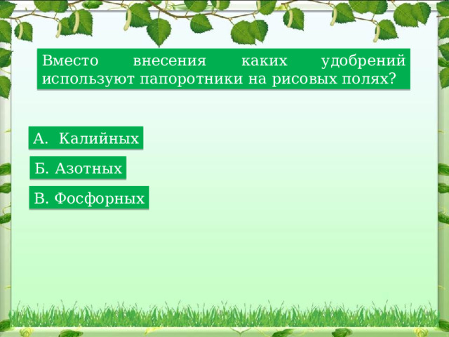 Вместо внесения каких удобрений используют папоротники на рисовых полях? А. Калийных Б. Азотных В. Фосфорных 