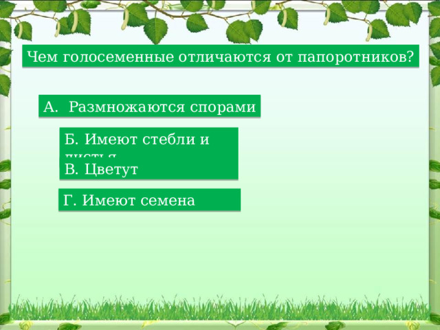 Чем голосеменные отличаются от папоротников? А. Размножаются спорами Б. Имеют стебли и листья В. Цветут Г. Имеют семена 