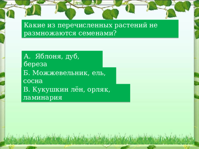 Какие из перечисленных растений не размножаются семенами? А. Яблоня, дуб, береза Б. Можжевельник, ель, сосна В. Кукушкин лён, орляк, ламинария 