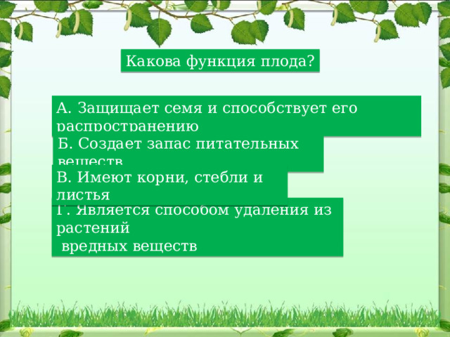 Какова функция плода? А. Защищает семя и способствует его распространению Б. Создает запас питательных веществ В. Имеют корни, стебли и листья Г. Является способом удаления из растений  вредных веществ 