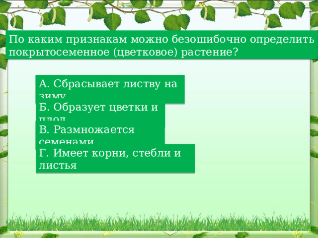 По каким признакам можно безошибочно определить покрытосеменное (цветковое) растение? А. Сбрасывает листву на зиму Б. Образует цветки и плод В. Размножается семенами Г. Имеет корни, стебли и листья 