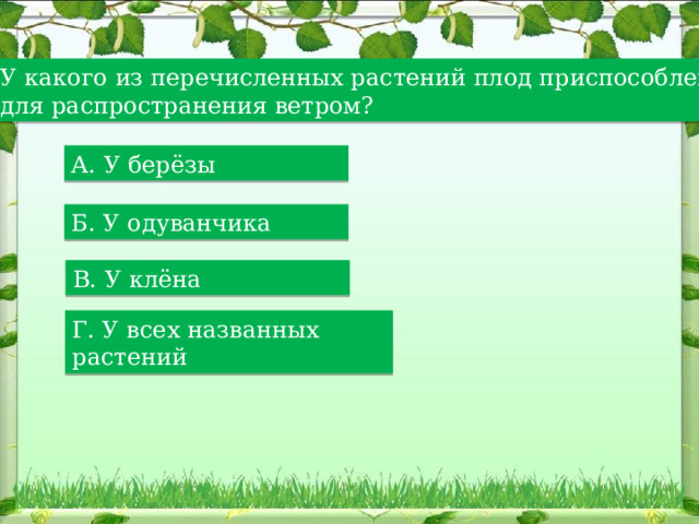 У какого из перечисленных растений плод приспособлен для распространения ветром? А. У берёзы Б. У одуванчика В. У клёна Г. У всех названных растений 