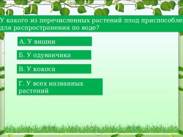 У какого из перечисленных растений плод приспособлен для распространения по воде? А. У вишни Б. У одуванчика В. У кокоса Г. У всех названных растений 