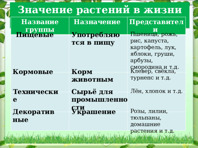 Значение растений в жизни человека Название группы Назначение Представители Пищевые Употребляются в пищу Пшеница, рожь, рис, капуста, картофель, лук, яблоки, груши, арбузы, смородина и т.д. Кормовые Корм животным Клевер, свёкла, турнепс и т.д. Технические Сырьё для промышленности Лён, хлопок и т.д. Декоративные Украшение Розы, лилии, тюльпаны, домашние растения и т.д. 