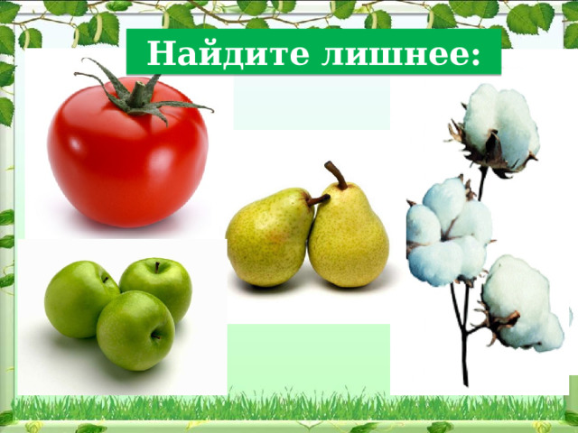 Найдите лишнее: 