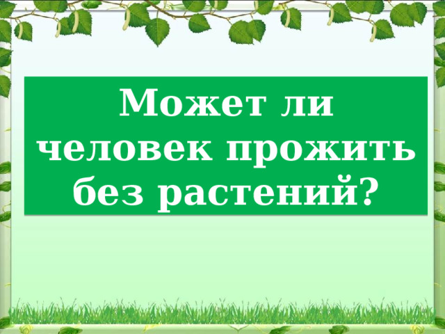 Может ли человек прожить без растений? 