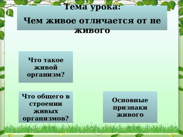 Тема урока:  Чем живое отличается от не живого Что такое живой организм? Что общего в строении живых организмов? Основные признаки живого 