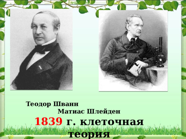 Теодор Шванн Матиас Шлейден 1839 г. клеточная теория 