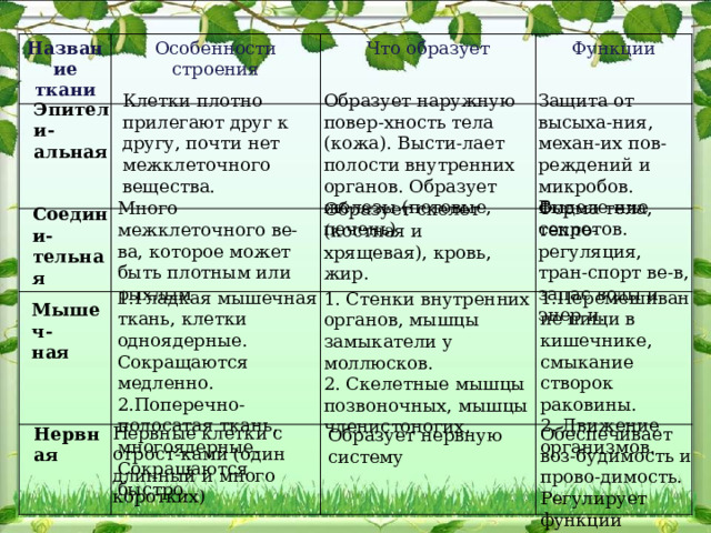 Название ткани Особенности строения Что образует Функции Клетки плотно прилегают друг к другу, почти нет межклеточного вещества. Образует наружную повер-хность тела (кожа). Высти-лает полости внутренних органов. Образует железы (потовые, печень) Защита от высыха-ния, механ-их пов-реждений и микробов. Выделе-ние секретов. Эпители- альная Форма тела, тепло-регуляция, тран-спорт ве-в, запас воды и энер-и. Много межклеточного ве-ва, которое может быть плотным или рыхлым Образует скелет (костная и хрящевая), кровь, жир. Соедини- тельная 1.Гладкая мышечная ткань, клетки одноядерные. Сокращаются медленно. 1.Перемешивание пищи в кишечнике, смыкание створок раковины. 2.Поперечно-полосатая ткань, многоядерные. Сокращаются быстро. 2. Движение организмов. 1. Стенки внутренних органов, мышцы замыкатели у моллюсков. 2. Скелетные мышцы позвоночных, мышцы членистоногих . Мышеч- ная Нервные клетки с отрост-ками (один длинный и много коротких) Нервная Обеспечивает воз-будимость и прово-димость. Регулирует функции организма. Образует нервную систему 