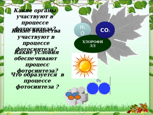 Какие органы участвуют в процессе фотосинтеза? СО 2 Н 2 О Какие вещества участвуют в процессе фотосинтеза? ХЛОРОФИЛЛ Какие условия обеспечивают процесс фотосинтеза? Что образуется в процессе фотосинтеза ? 