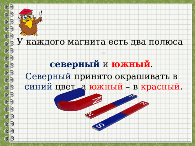 У каждого магнита есть два полюса –  северный и южный .  Северный принято окрашивать в синий цвет, а южный – в красный . 