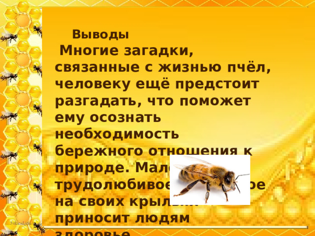 Проект пчела друг человека