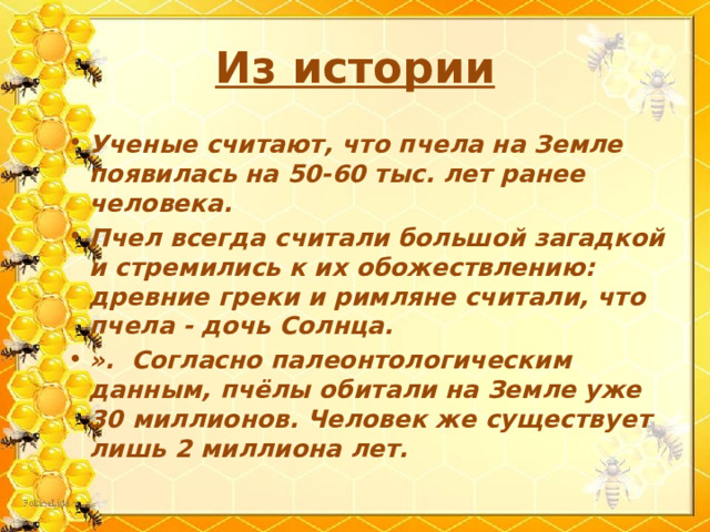 Исследовательский проект "Пчелы в жизни человека"