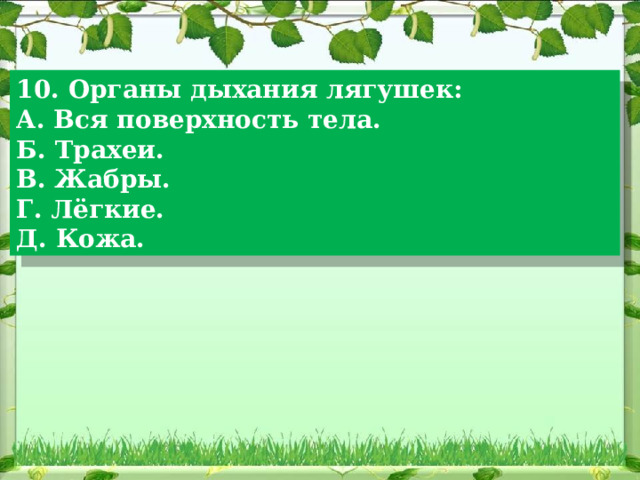 10. Органы дыхания лягушек: А. Вся поверхность тела. Б. Трахеи. В. Жабры. Г. Лёгкие. Д. Кожа. 