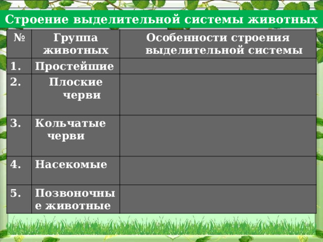 Строение выделительной системы животных № Группа 1. животных Особенности строения выделительной системы Простейшие 2. Плоские черви 3. 4.  Кольчатые черви  Насекомые 5.  Позвоночные животные 