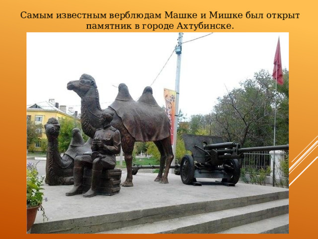Самым известным верблюдам Машке и Мишке был открыт памятник в городе Ахтубинске. 