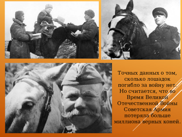 Точных данных о том, сколько лошадок погибло за войну нет. Но считается, что во Время Великой Отечественной Войны Советская Армия потеряла больше миллиона верных коней. 