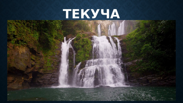 Текуча 