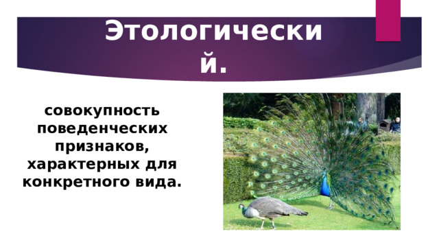 Этологический. совокупность поведенческих признаков, характерных для конкретного вида. 