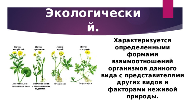 Экологический. Характеризуется определенными формами взаимоотношений организмов данного вида с представителями других видов и факторами неживой природы. 