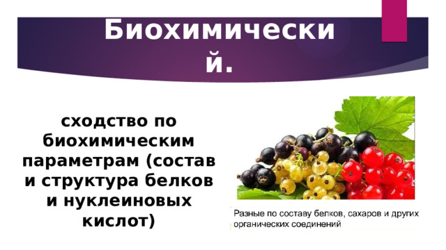 Биохимический. сходство по биохимическим параметрам (состав и структура белков и нуклеиновых кислот) 