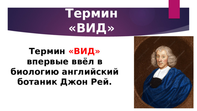 Термин «ВИД» Термин «ВИД» впервые ввёл в биологию английский ботаник Джон Рей. 