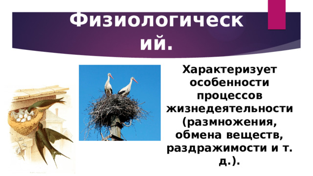 Физиологический. Характеризует особенности процессов жизнедеятельности (размножения, обмена веществ, раздражимости и т. д.). 