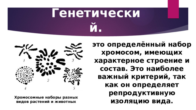 Генетический. это определённый набор хромосом, имеющих характерное строение и состав. Это наиболее важный критерий, так как он определяет репродуктивную изоляцию вида. Хромосомные наборы разных видов растений и животных 