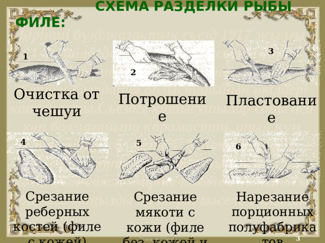 Схема разделки рыбы на чистое филе