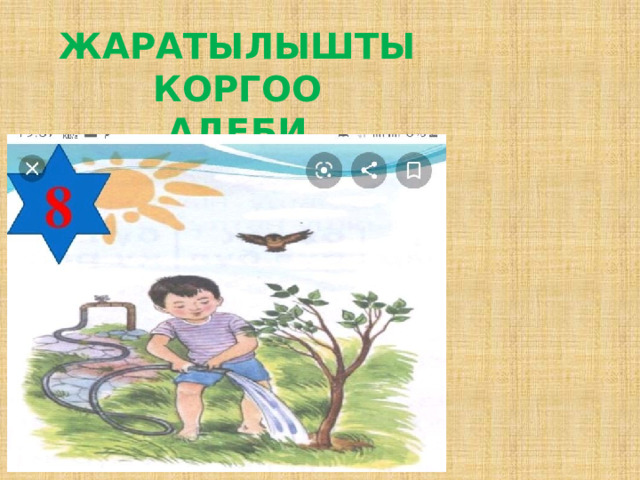 ЖАРАТЫЛЫШТЫ КОРГОО  АДЕБИ 