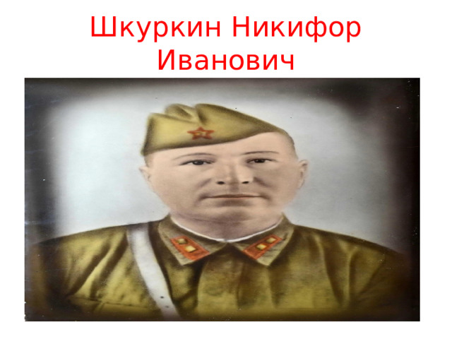 Шкуркин Никифор Иванович 