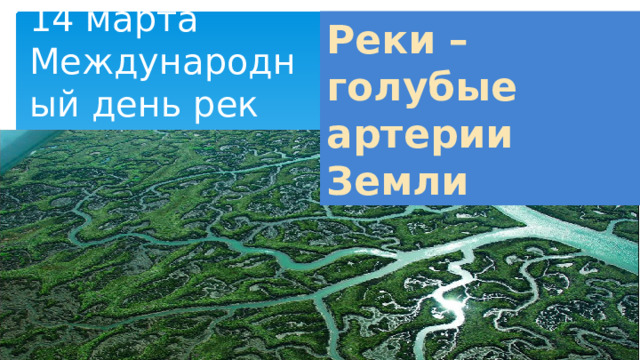 Реки – голубые артерии Земли 14 марта  Международный день рек 