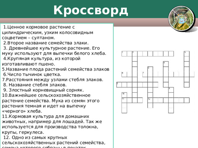 Название травы кроссворд