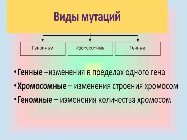 Мутации биология 10 класс